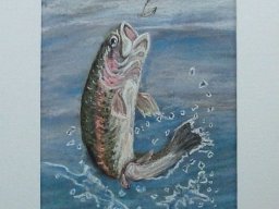 Forelle  Pastellbild